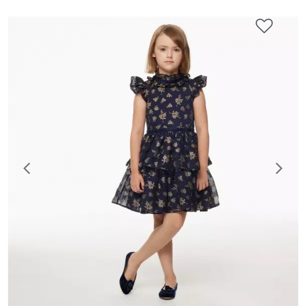 Janie & Jack Glitter Floral Chiffon Dress Size 6